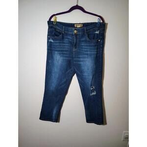 Low Rise Democracy Jeans siz 14 Distressed Skinny Medium Wash Denim Women